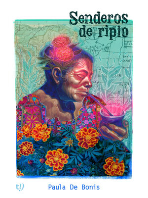 cover image of Senderos de ripio